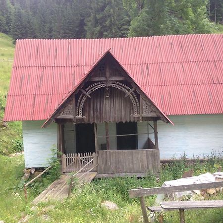Moara Lui Ivan Hanasesti Buitenkant foto