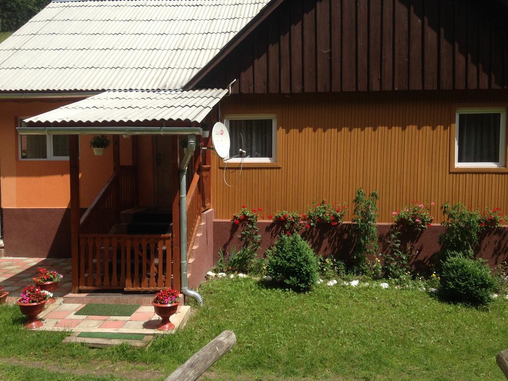 Moara Lui Ivan Hanasesti Buitenkant foto