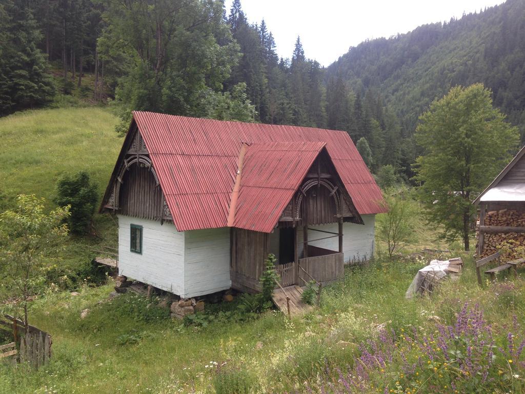 Moara Lui Ivan Hanasesti Buitenkant foto
