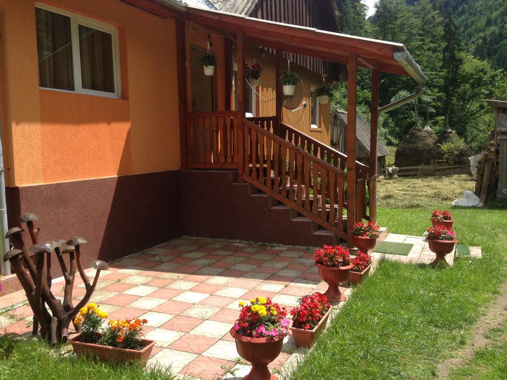 Moara Lui Ivan Hanasesti Buitenkant foto