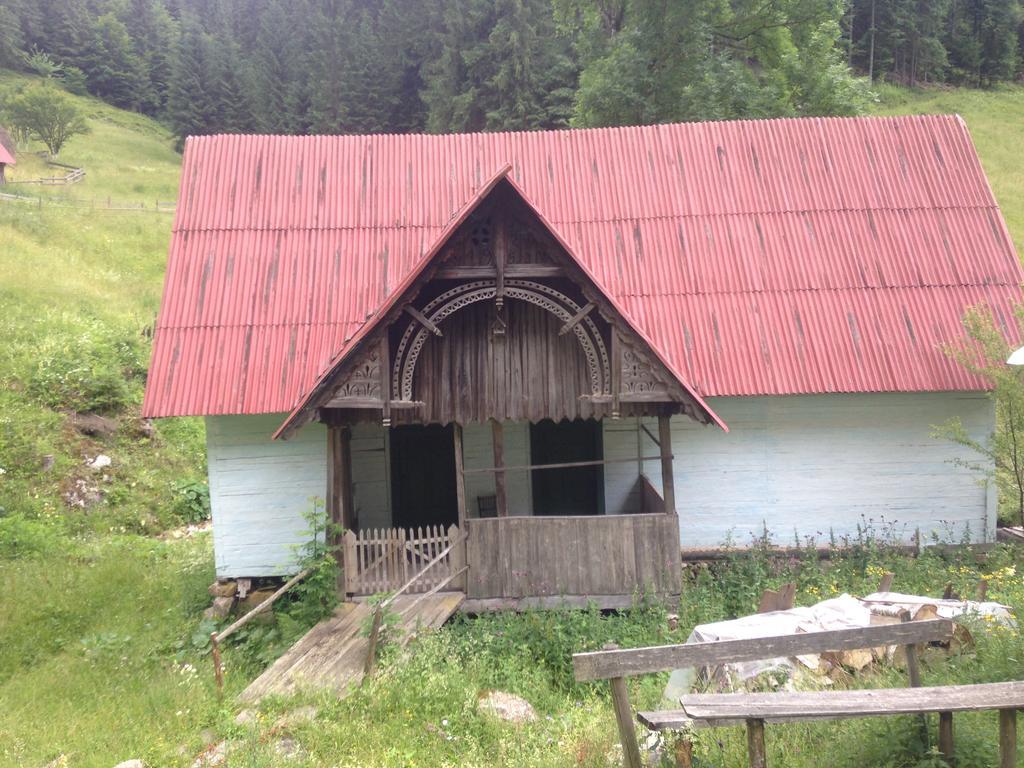 Moara Lui Ivan Hanasesti Buitenkant foto